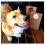 Image result for #sandiethecorgi